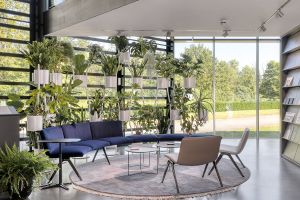 Zum Wohlfühlen: Pflanzen im Büro