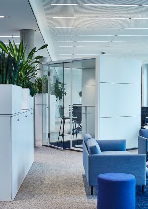 Zum Wohlfühlen: Pflanzen im Büro