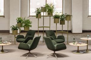 Zum Wohlfühlen: Pflanzen im Büro