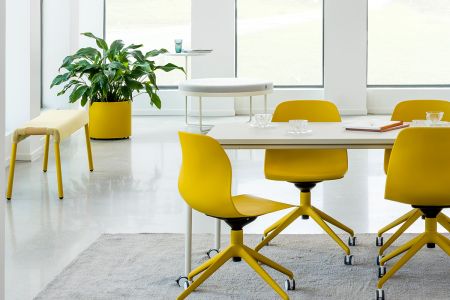 Zum Wohlfühlen: Pflanzen im Büro