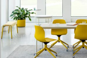 Zum Wohlfühlen: Pflanzen im Büro