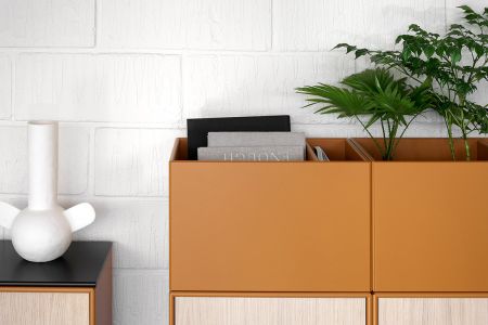 Zum Wohlfühlen: Pflanzen im Büro