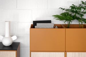 Zum Wohlfühlen: Pflanzen im Büro