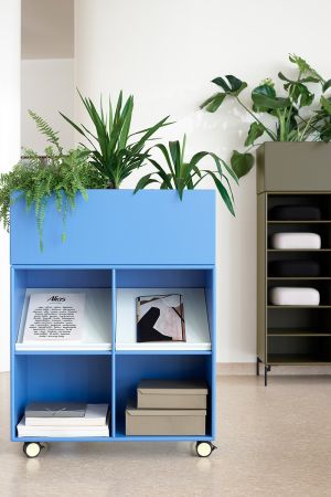 Zum Wohlfühlen: Pflanzen im Büro