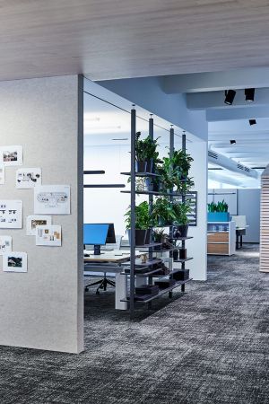 Zum Wohlfühlen: Pflanzen im Büro