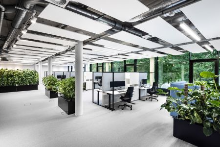 Zum Wohlfühlen: Pflanzen im Büro