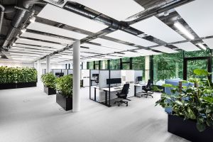 Zum Wohlfühlen: Pflanzen im Büro