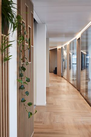 Zum Wohlfühlen: Pflanzen im Büro