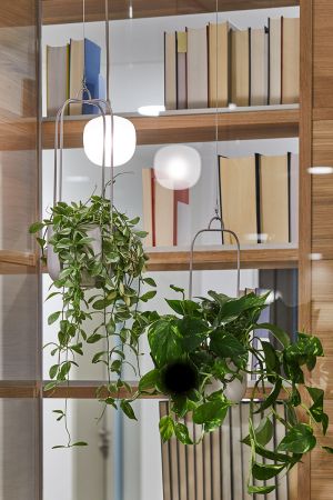 Zum Wohlfühlen: Pflanzen im Büro