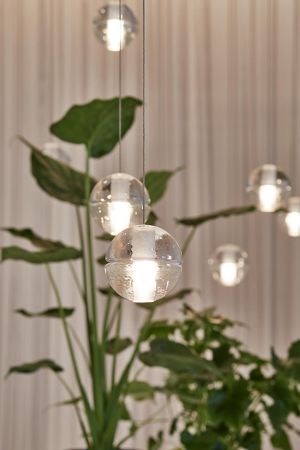 Zum Wohlfühlen: Pflanzen im Büro