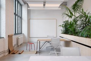 Zum Wohlfühlen: Pflanzen im Büro