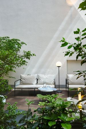 Zum Wohlfühlen: Pflanzen im Büro