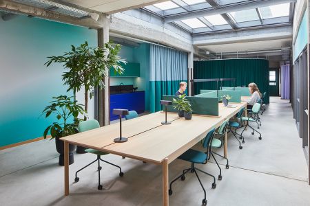 Zum Wohlfühlen: Pflanzen im Büro