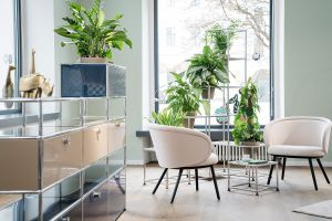 Zum Wohlfühlen: Pflanzen im Büro