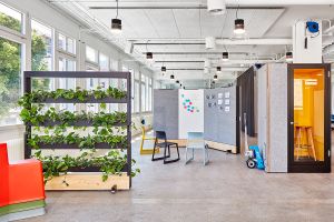 Zum Wohlfühlen: Pflanzen im Büro