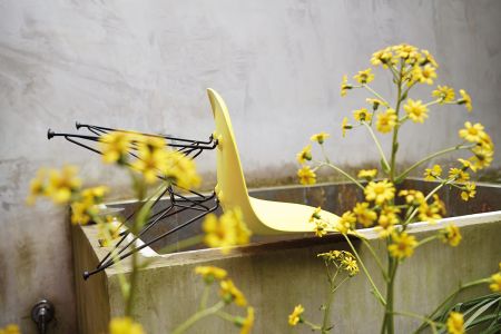Update für einen Klassiker: „Eames Plastic Chair RE“