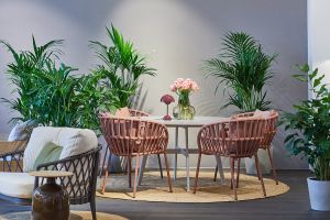 Wir eröffnen die Freiluft-Saison