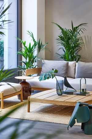 Wir eröffnen die Freiluft-Saison