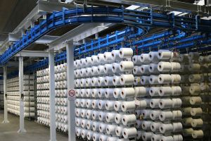 Ege Carpets