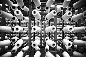 Ege Carpets