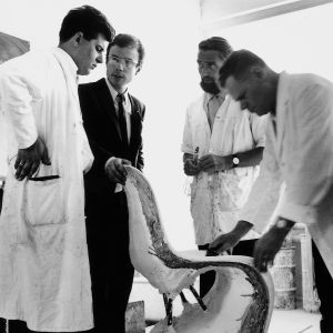 Verner Panton, Rolf Fehlbaum, Manfred Diebold & Josef Stuermlinger (© &copy;Vitra)