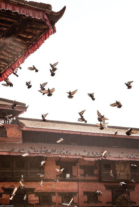 Menu Nepal Project (© Jonas Bjerre-Poulsen)