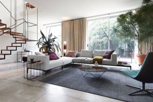 Walter Knoll