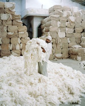 Kvadrat (© Kvadrat)