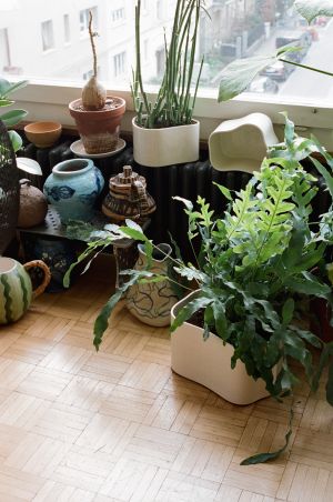 Pflanzentopf Riihitie Pot B (© Artek)