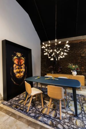 Heracleum (© Moooi)