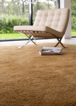 Lilain (© Carpet Sign)