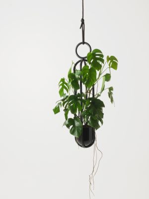 Blumenampel (© Atelier Hau&szlig;mann)