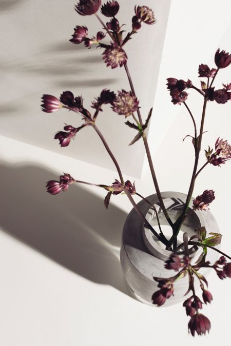 Willmann Vase (© Menu)