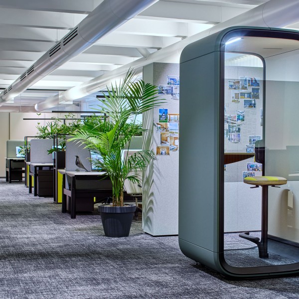 Bürofläche in unserem Showroom mit Arbeitsplätzen, Pflanzen und schallgedämmten Telefonboxen