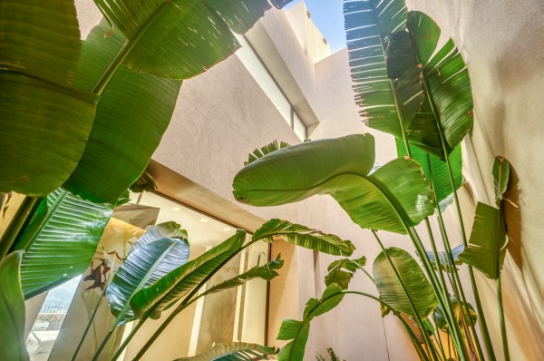 gaertner-projekt-andratx-rez-61