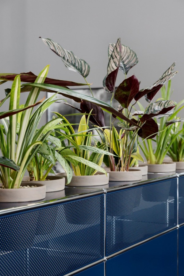 usm-haller-pflanzen-gaertnermoebel-02.jpg
