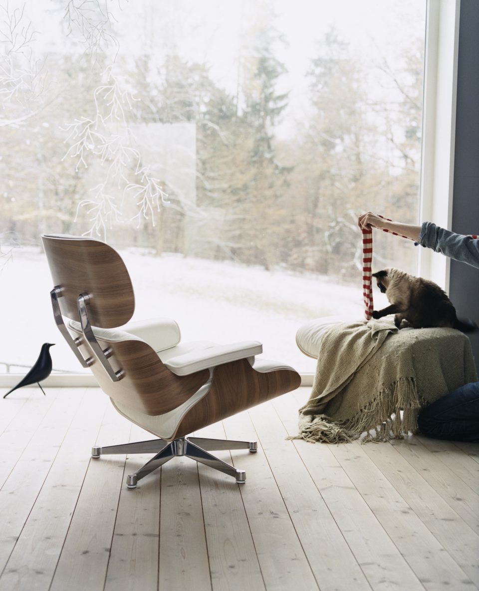 vitra-69291-lounge-chair---ottoman-eames-house-bird-algue-master