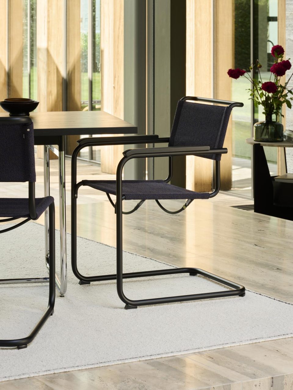 Thonet_S34V_S33V_RAL9005_Cento_deep_AA_TP29_S_1072_Esche_sw_231bw